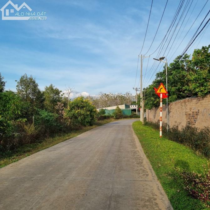 KẸT QUÁ BÁN LÔ ĐẤT THỔ CƯ 2281M2(30MX77M) CÁCH QUỐC LỘ 20 CHỈ 1.5KM RẺ BÈO CHỈ 2TY5 - 2