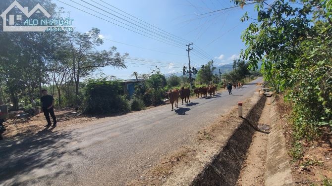 Bán lô đất thổ cư thôn Đông xã Sông Cầu Huyện Khánh Vĩnh 357m2 và 361m2 - 4