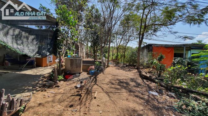 Bán lô đất thổ cư thôn Đông xã Sông Cầu Huyện Khánh Vĩnh 357m2 và 361m2 - 5