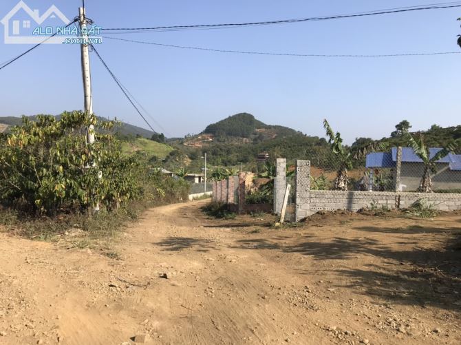 5 sào Mai thúc Loan phường 3 Bảo lộc.