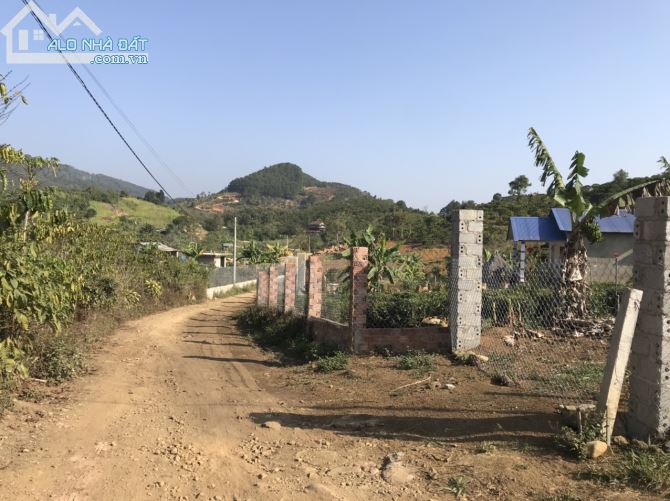 5 sào Mai thúc Loan phường 3 Bảo lộc. - 1