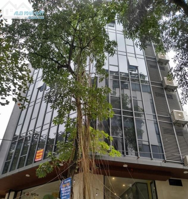💥 Bán Tòa Văn Phòng Mặt phố Võ Văn Dũng, 52m2 8T, MT 13m, Chỉ 27 Tỷ 💥 - 4