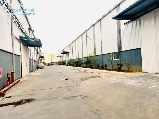 Cho thuê kho xưởng 1000m2 khu vực Thuận Thành Bắc Ninh - 1