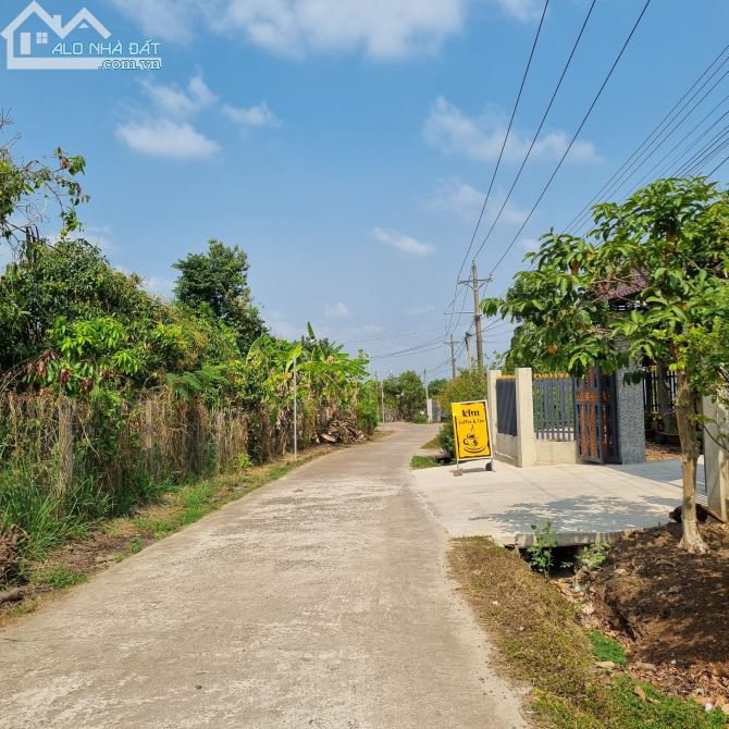 MẶT TIỀN BÊ TÔNG ĐƯỢC 21M VƠI DIỆN TÍCH 1000M2(21MX45M) ĐẤT NỞ HẬU 25M CHỈ 950TR - 1