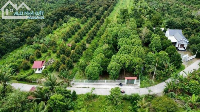 giá cực tốt 5140m đất CLN CÓ 300M THỔ CƯ lộ 7,5m Nhơn Ái, Phong Điền- 7,2 tỷ (TL) - 1