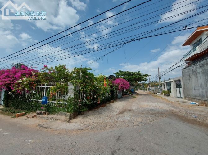 ✅Cần Bán Gốc 405m2 thổ cư mặt tiền Đường Nguyễn Tấn Định Phường Hàm Tiến Phan Thiết BT - 3