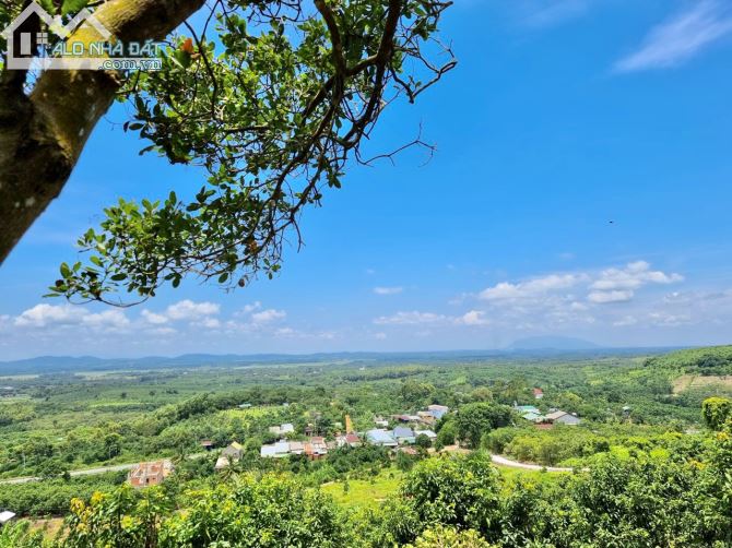 VƯỜN XOÀI TẠI LA NGÀ, TRỊ AN CÁCH QL20 CHỈ 200M. ĐƯỜNG BÊ TÔNG. GIÁ 750TR - 1