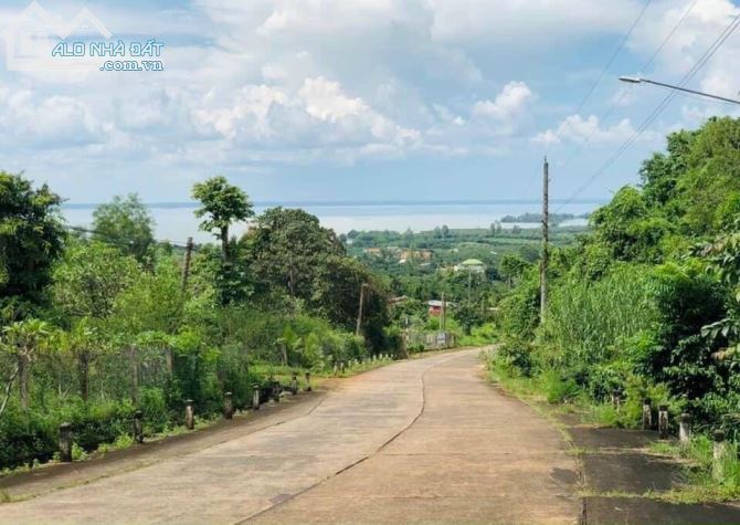 VƯỜN XOÀI TẠI LA NGÀ, TRỊ AN CÁCH QL20 CHỈ 200M. ĐƯỜNG BÊ TÔNG. GIÁ 750TR - 2