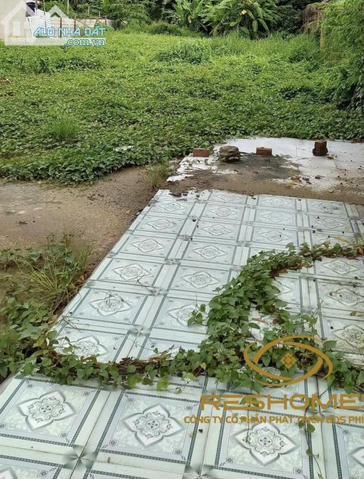 Ngộp bán gấp lô đất DT 450m2 MT Nguyễn Thành Phương, phường Thống Nhất, Biên Hoà giá 35 tỷ - 1