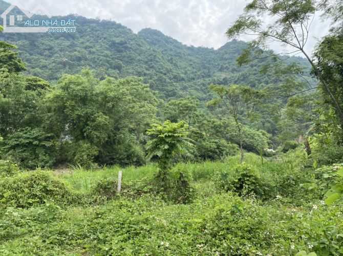 BÁN GẤP SIÊU PHẨM BÁM SUỐI CÓ DT 1413m2 CÁCH ĐƯỜNG QL12B 30m - 2