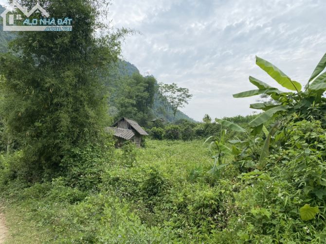 BÁN GẤP SIÊU PHẨM BÁM SUỐI CÓ DT 1413m2 CÁCH ĐƯỜNG QL12B 30m - 4