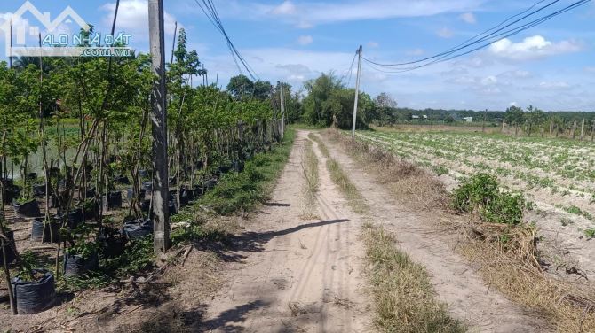 Bán gấp 8780m, mặt đường ĐT788, Ấp Sa Nghe, An Cơ, Châu Thành, Tây Ninh, giảm còn 2,3 tỷ.