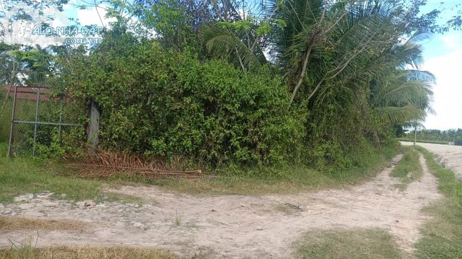 Bán gấp 8780m, mặt đường ĐT788, Ấp Sa Nghe, An Cơ, Châu Thành, Tây Ninh, giảm còn 2,3 tỷ. - 1