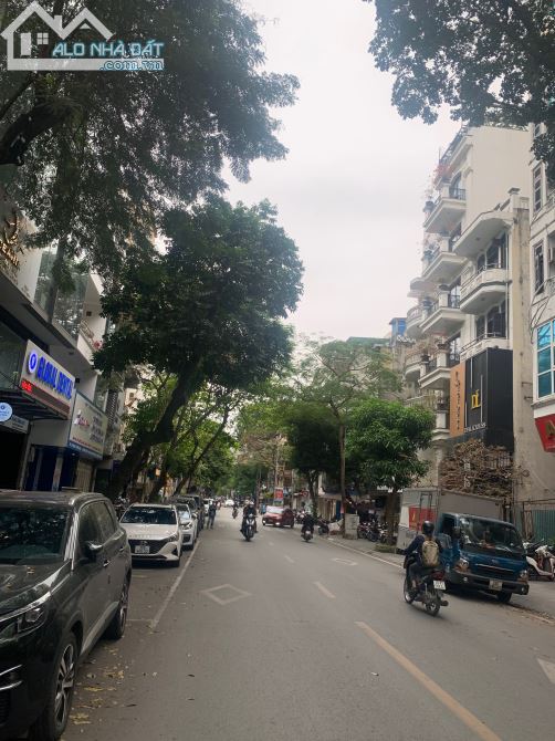 Siêu Hiếm Giá đầu tư. Mặt Phố Tuệ Tĩnh - Hai Bà Trưng. DT 252m2. MT 8,7m