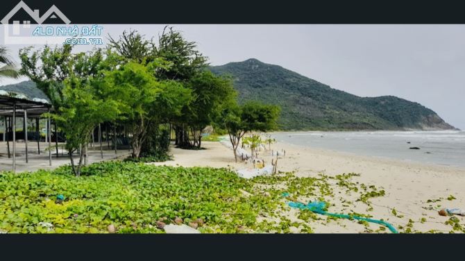 Bán đất mặt biển xã ninh vân,ninh hoà,khánh hoà