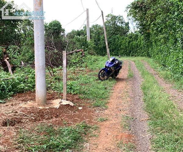LÔ ĐẤT 2 MẶT TIỀN SẮP ĐỔ NHỰA 9673M2 CÓ HƠN 200M MẶT TIỀN GẦN KHU DÂN CƯ CHỈ 3TY8 - 1