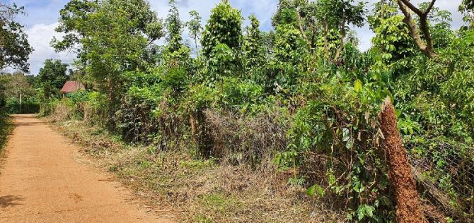 LÔ ĐẤT 2 MẶT TIỀN SẮP ĐỔ NHỰA 9673M2 CÓ HƠN 200M MẶT TIỀN GẦN KHU DÂN CƯ CHỈ 3TY8 - 2