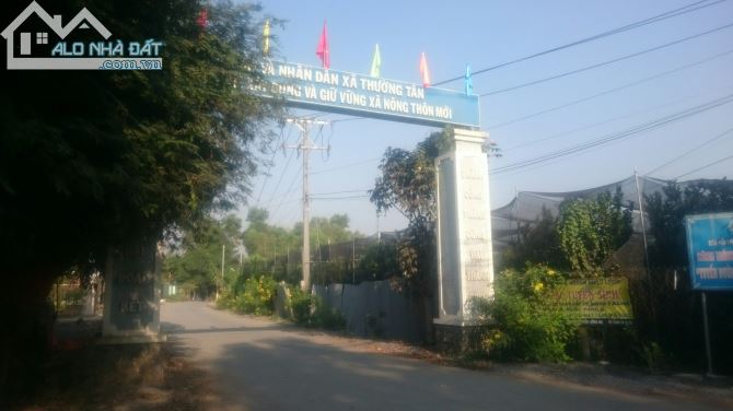 Đất Ở 15 x 90, 6x 90 m Ấp 1 Thường Tân, gần cầu Thủ Biên Bình Dương- Đồng Nai (sẵn thổ cư)