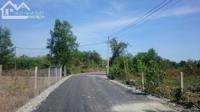 Đất Ở 15 x 90, 6x 90 m Ấp 1 Thường Tân, gần cầu Thủ Biên Bình Dương- Đồng Nai (sẵn thổ cư) - 2