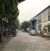 Chính chủ cho thuê gấp kho xưởng tại KCN Vĩnh Hoàng, Đường Lĩnh Nam, gần Cầu Thanh Trì