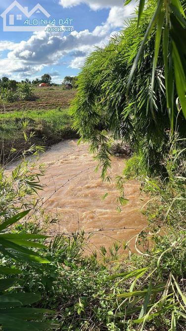 Không có người làm nên gia đình tôi cần bán 1,16ha có suối giá 65tr/1 xào có thương lượng - 2