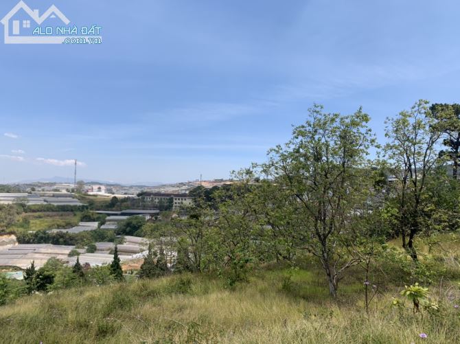 Bán lô đất xây khách sạn view thung lũng mặt tiền đường Hùng Vương thành phố Đà Lạt - 4