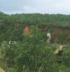 Gần 13 hecta đất tại Hoà Vang, Đà Nẵng
