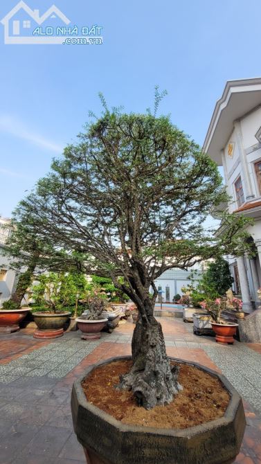 Bán Biệt thự 2 MT Nam Hoà Phước Long A Thủ Đức 1000m2, 4 tầng, Ngang khủng 35m Giá 82 tỷ - 1