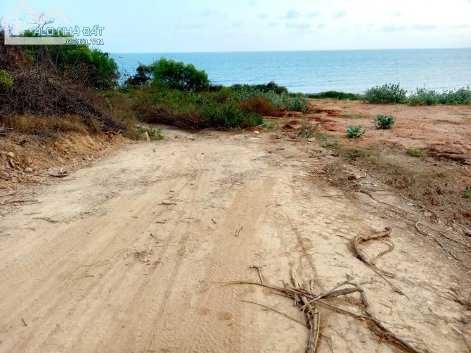 Giỏ Hàng đất Sào-Nội bộ Hàn Mặc Tử-Phú Hài Phan Thiết-Bình Thuận - 3