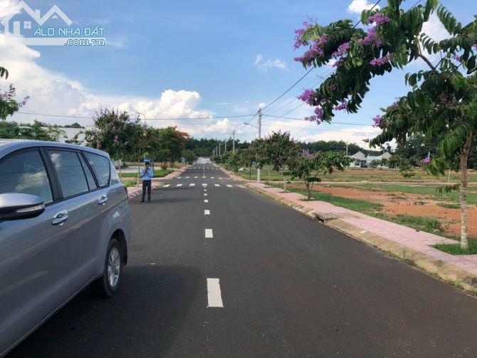Gia Đình Cần Bán Gấp Lô Đất Ở Tân Phước Đồng Phú - 2