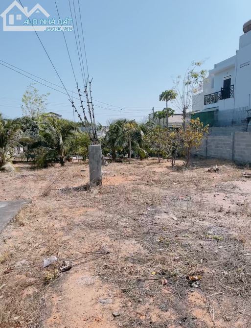 Cần Bán 2600m2 Mặt Tiền Đường Nhựa Nguyễn Thông Ngay Khu Dân Cư  Phường Phú Hài,Phan Thiết - 1