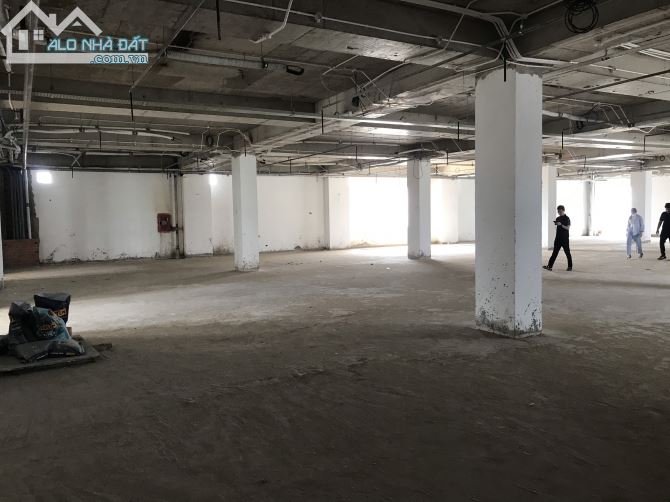 Cho thuê nguyên tòa diện tích khủng 900m2/sàn (trệt, 3 tầng) MT Hòa Bình - 1