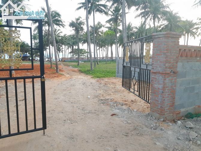 Bán lô đất Mặt tiền đường Bùi Xuân Phái - giáp bãi Biển - phường Mũi Né - TP Phan Thiết - 1