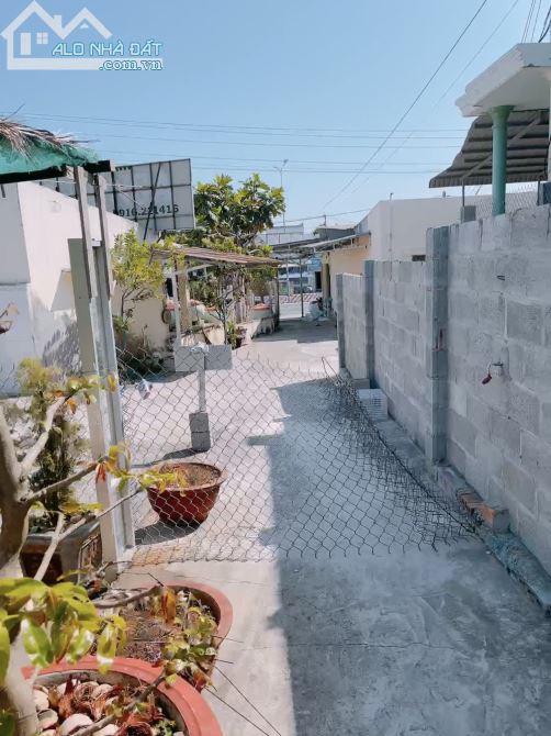 Cần Bán 2600m2 Mặt Tiền Đường Nhựa Nguyễn Thông Ngay Khu Dân Cư  Phường Phú Hài,Phan Thiết - 2
