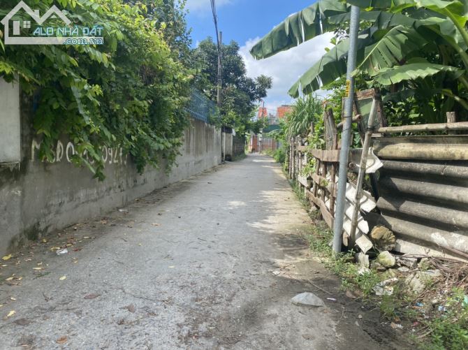 Chưa đến 1 tỷ sỡ hữu lô 62,4m2, đường thông 3,6m tại Quỳnh Cư – Hùng Vương – Hồng Bàng - 2