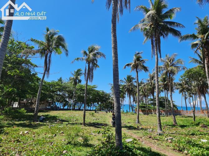 Bán lô đất Mặt tiền đường Bùi Xuân Phái - giáp bãi Biển - phường Mũi Né - TP Phan Thiết - 2