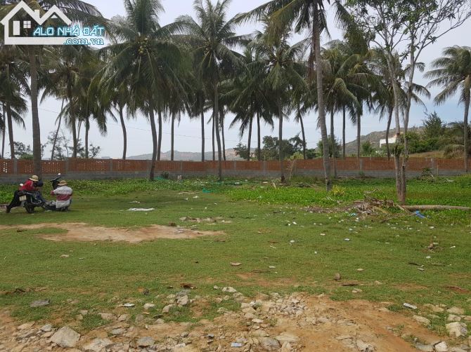 Bán lô đất Mặt tiền đường Bùi Xuân Phái - giáp bãi Biển - phường Mũi Né - TP Phan Thiết - 3