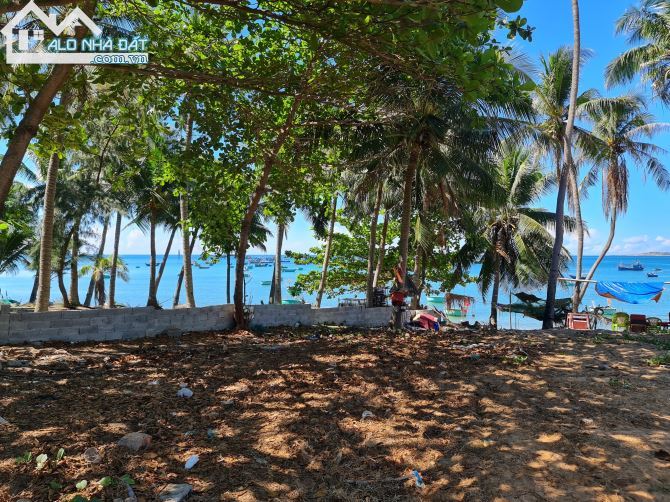 Bán lô đất Mặt tiền đường Bùi Xuân Phái - giáp bãi Biển - phường Mũi Né - TP Phan Thiết - 4