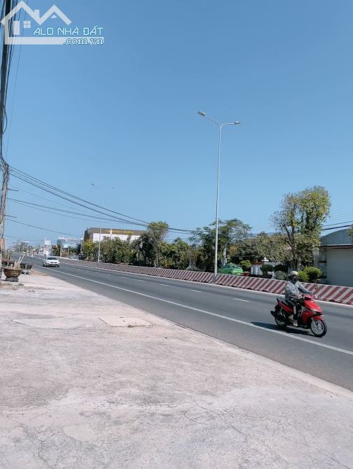 Cần Bán 2600m2 Mặt Tiền Đường Nhựa Nguyễn Thông Ngay Khu Dân Cư  Phường Phú Hài,Phan Thiết - 5