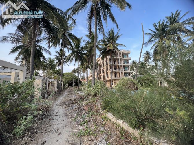 Bán 5666m2 mặt tiền Huỳnh Thúc Kháng, Hàm Tiến, Phan Thiết, mặt giáp biển 40m giá 22tr/m2 - 2