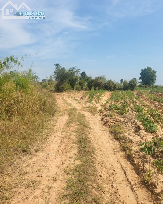 Cần bán 1,7ha đất nông nghiệp gần khu du lịch thác 7 Nhánh Buôn Đôn - 5