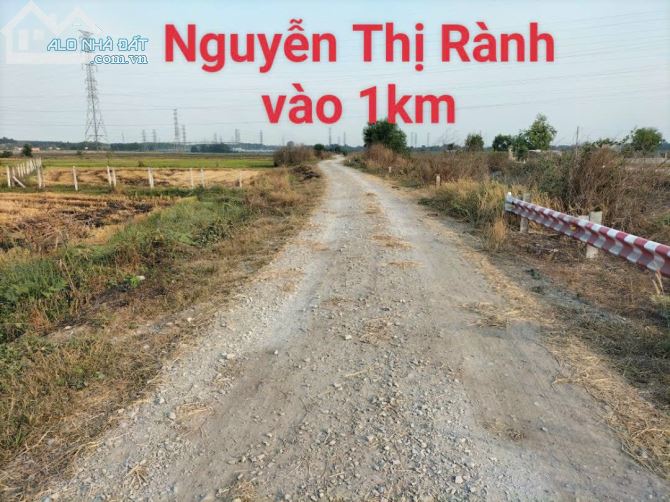 Bán đất Củ Chi, lô đất mặt tiền kênh Đức Lập, diện tích 3504m2 đất vườn, xã Nhuận Đức. - 3