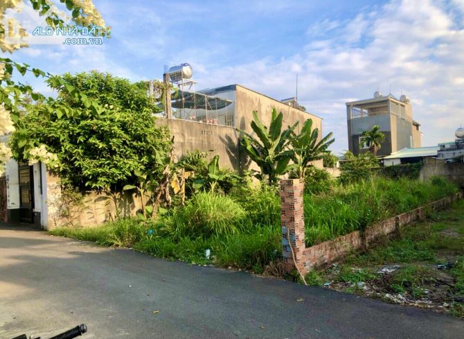 Bán lô đất biệt thự 280m2 đường nhựa 6m gần ngay ngã 3 chợ Quang Thắng, Trảng Dài 3.8 tỷ - 1