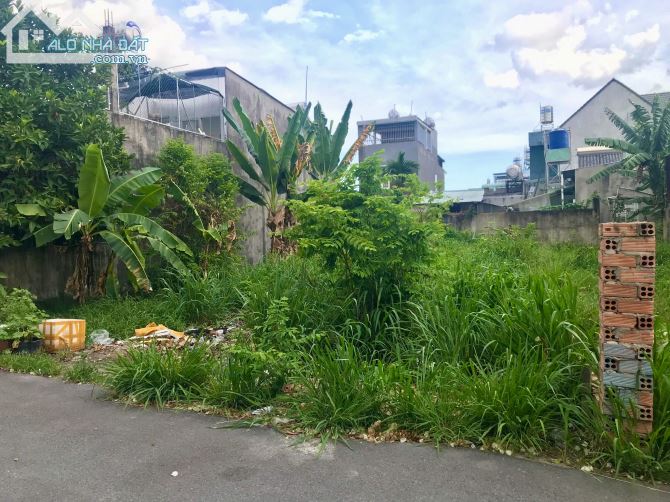 Bán lô đất biệt thự 280m2 đường nhựa 6m gần ngay ngã 3 chợ Quang Thắng, Trảng Dài 3.8 tỷ - 2