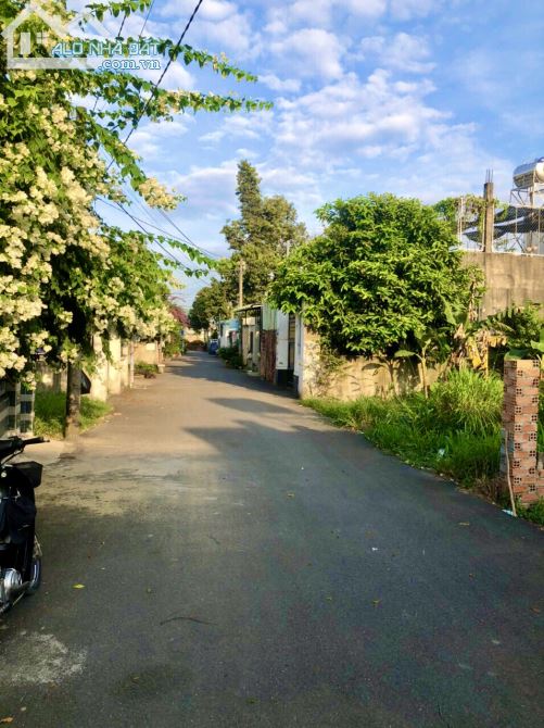 Bán lô đất biệt thự 280m2 đường nhựa 6m gần ngay ngã 3 chợ Quang Thắng, Trảng Dài 3.8 tỷ - 4