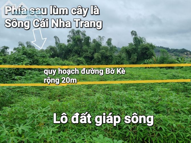 Đất giáp Sông Cái Nha Trang có quy hoạch đường bờ kè chạy qua. Gần đường 2,2t - 3