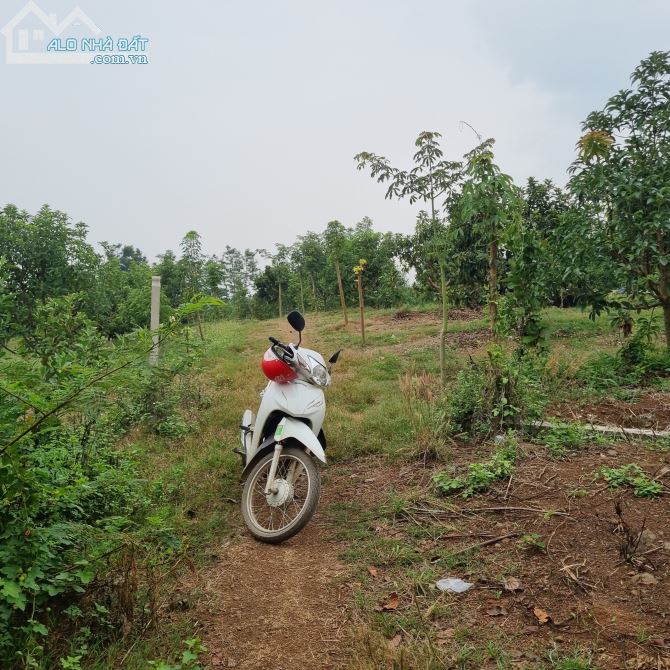 CẦN BÁN LÔ ĐẤT 140,000M2(14HA) DO KHÔNG CANH TÁC NỔI NÊN BÁN CHỈ 4TỶ/HA