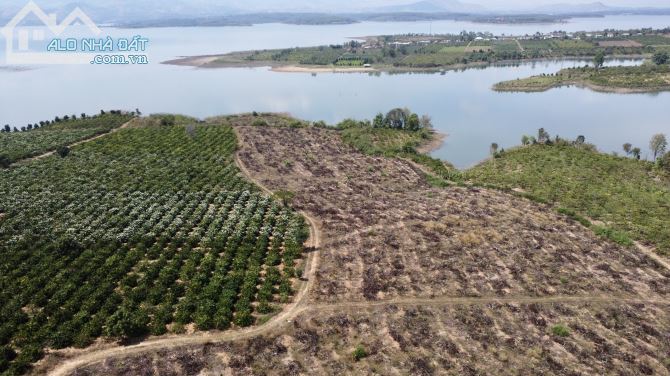 CẦN TIỀN GẤP BÁN LÔ ĐẤT VIEW HỒ 2000m2 CHỈ 250 TRIỆU - 1