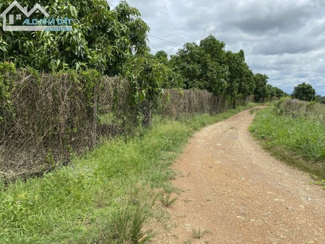 CẦN BÁN LÔ ĐẤT 140,000M2(14HA) DO KHÔNG CANH TÁC NỔI NÊN BÁN CHỈ 4TỶ/HA - 2