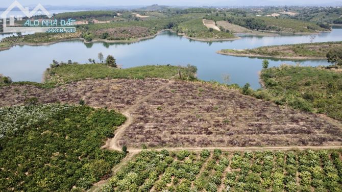 CẦN TIỀN GẤP BÁN LÔ ĐẤT VIEW HỒ 2000m2 CHỈ 250 TRIỆU - 2